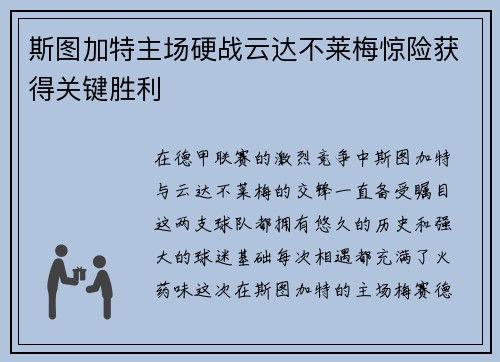 斯图加特主场硬战云达不莱梅惊险获得关键胜利